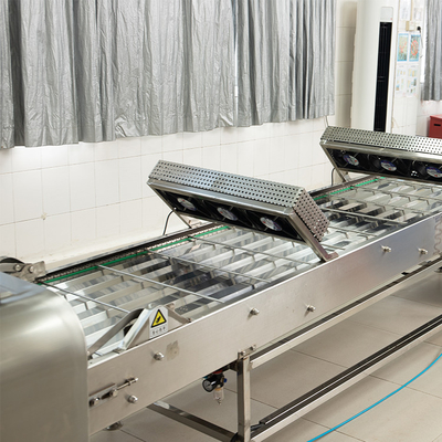 Gepersonaliseerde Marshalling Conveyor met CE makkelijke installatie