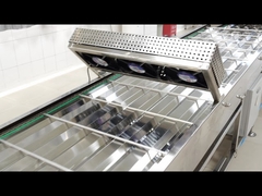 Opstellende Koeltransportband