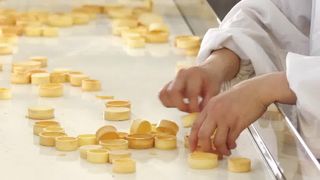 Automatische Scherpe Shell Production Line